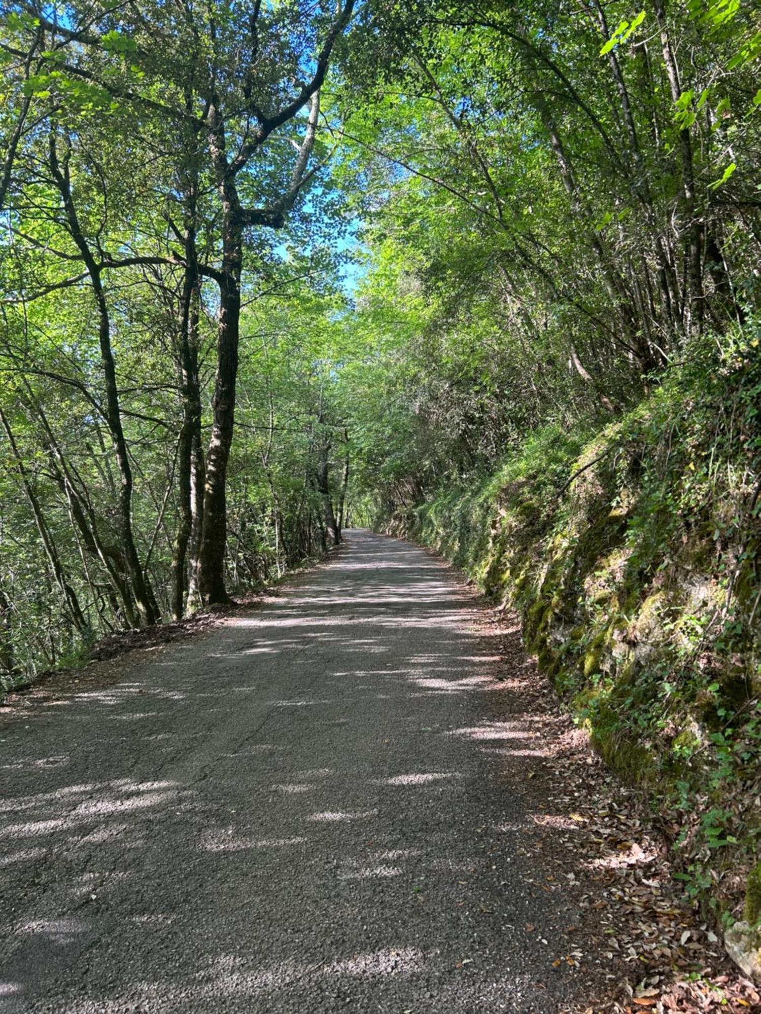 Appartamento Storico A Valle San Martino Di Spoleto Buitenkant foto